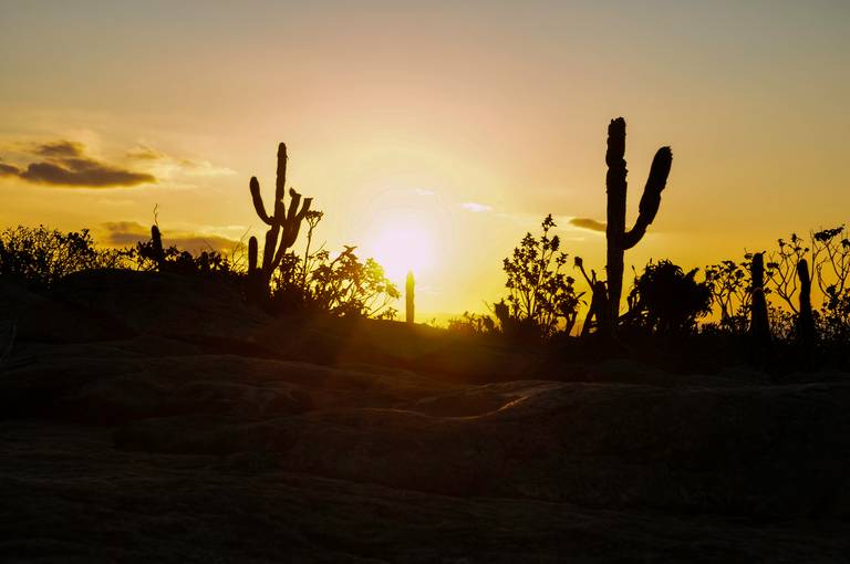 Morro do Pai Inácio 