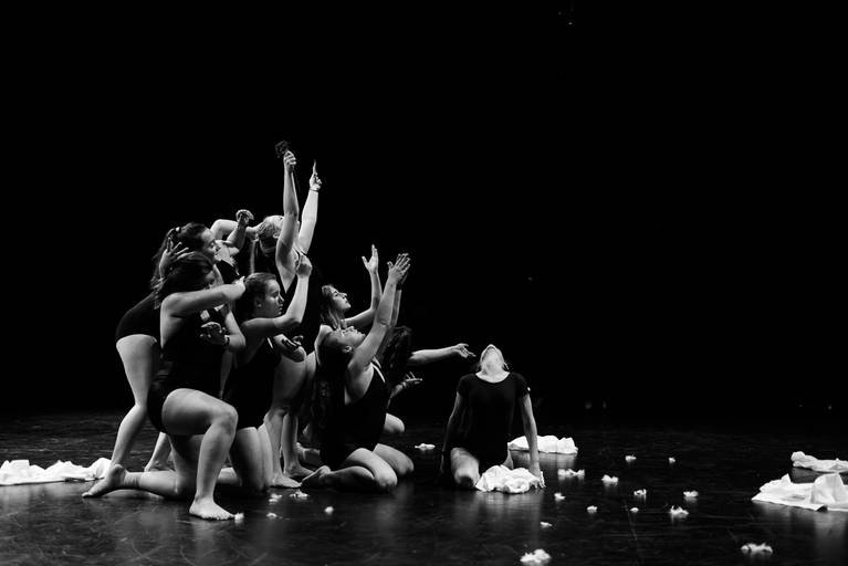 festival de dança contemporânea, Lisboa