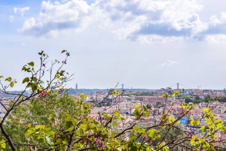Miradouro Monte Agudo