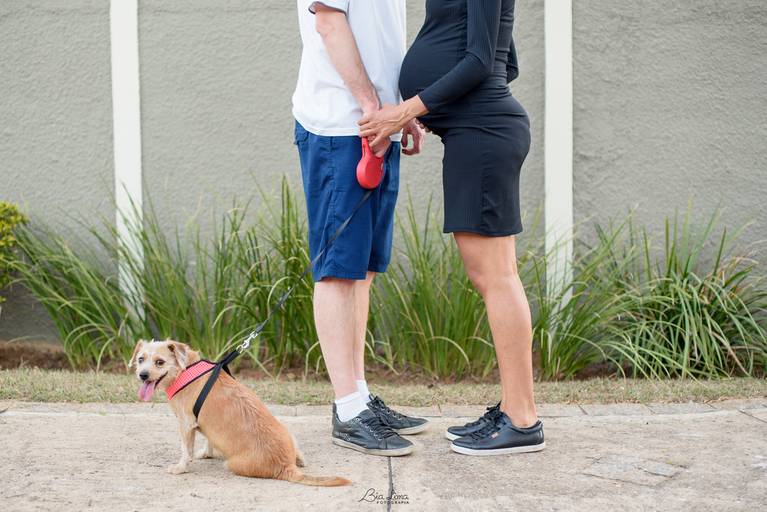 Ensaio gestante Campinas pet Bia Lima Fotografia