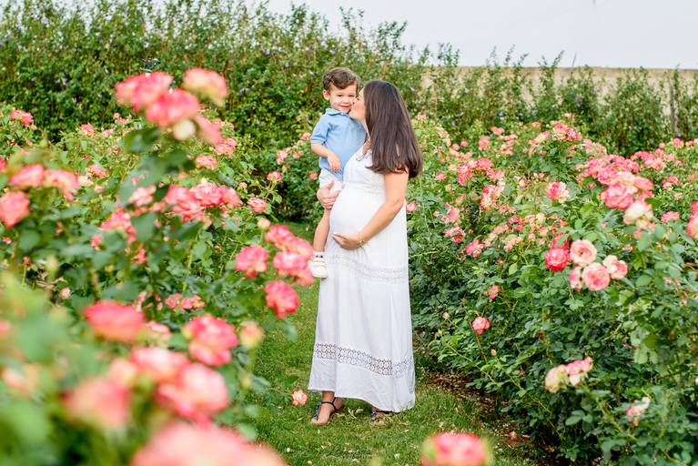 Ensaio gestante Holambra Bia Lima Fotografia 