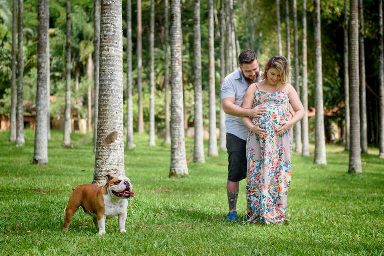 Ensaio gestante externo com pet Campinas Bia Lima Fotografia