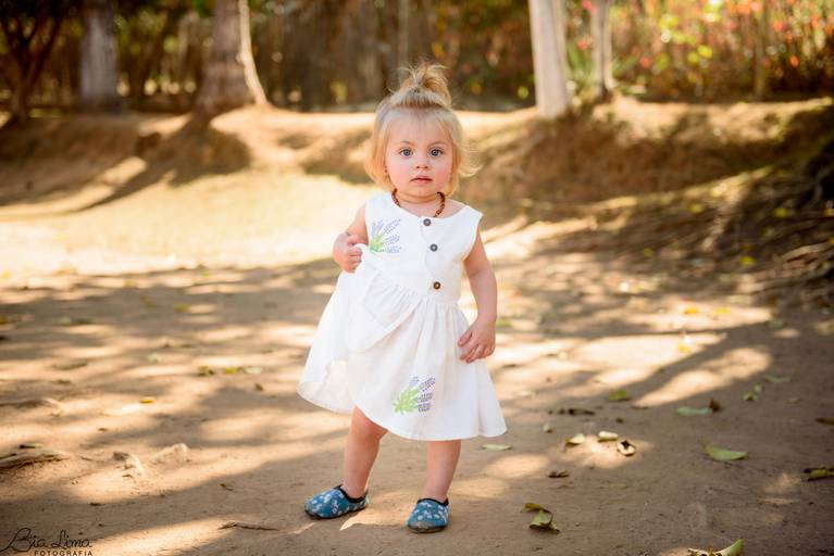 Aniversário infantil Campinas em casa