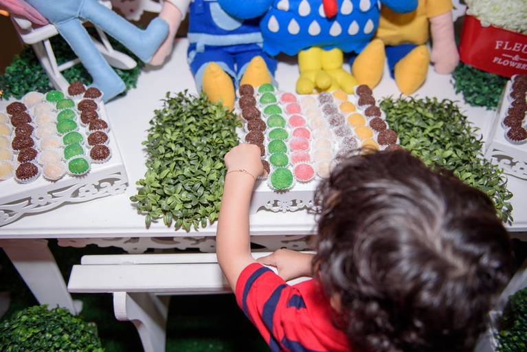 Aniversário infantil Campinas buffet