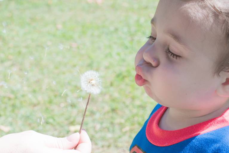 Aniversário infantil Campinas parque