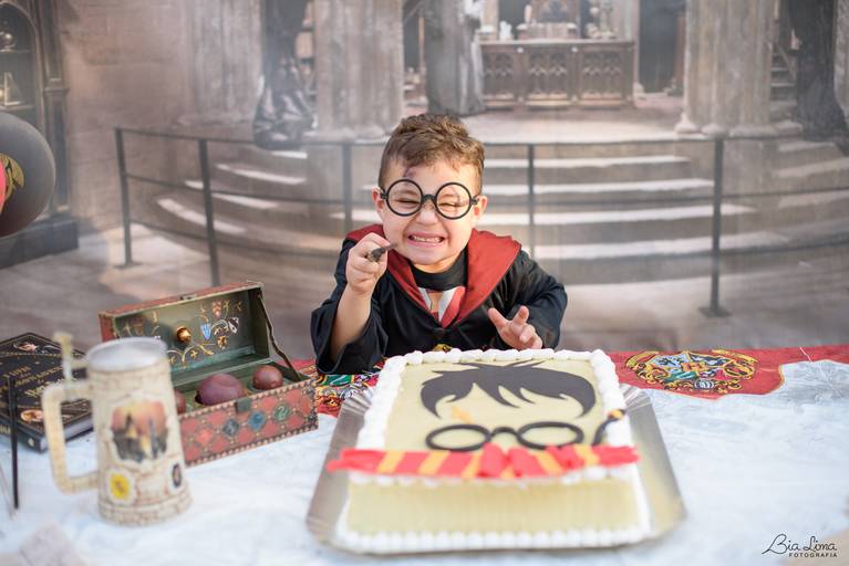 Aniversário infantil Campinas harry potter