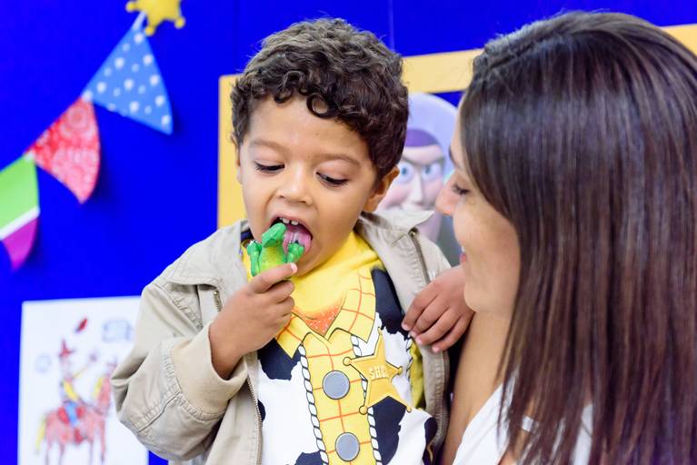 Aniversário infantil Campinas buffet toy story