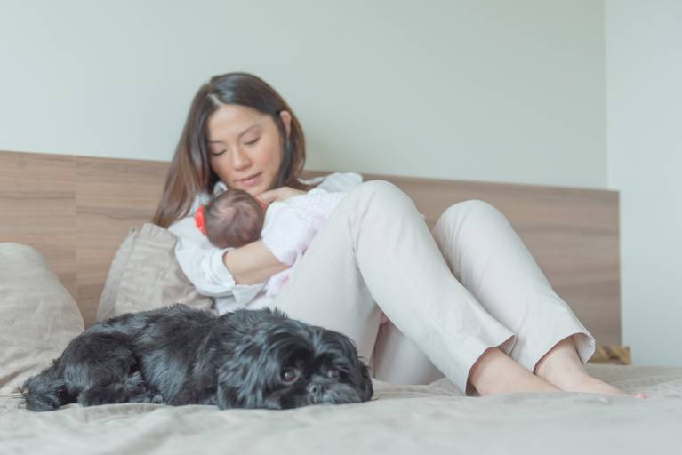 Ensaio recém nascido lifestyle Campinas pet