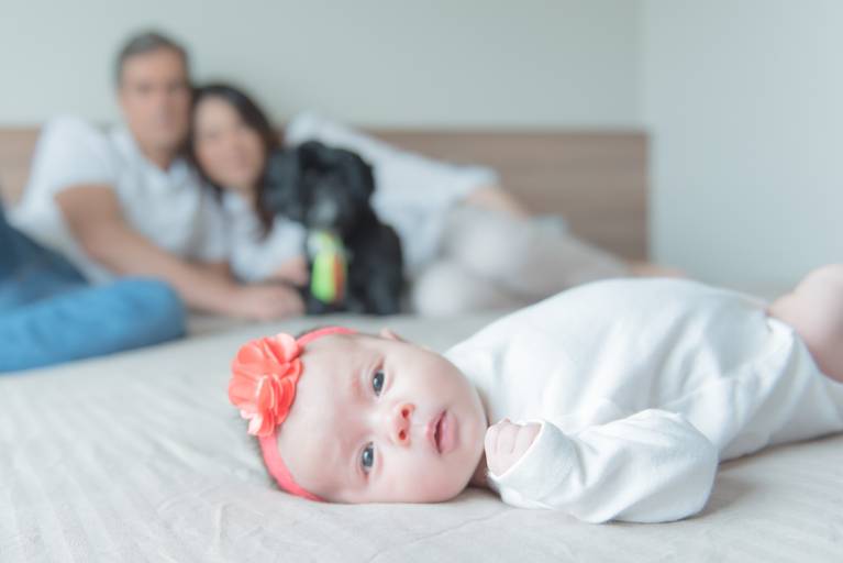 Ensaio recém nascido lifestyle Campinas pet