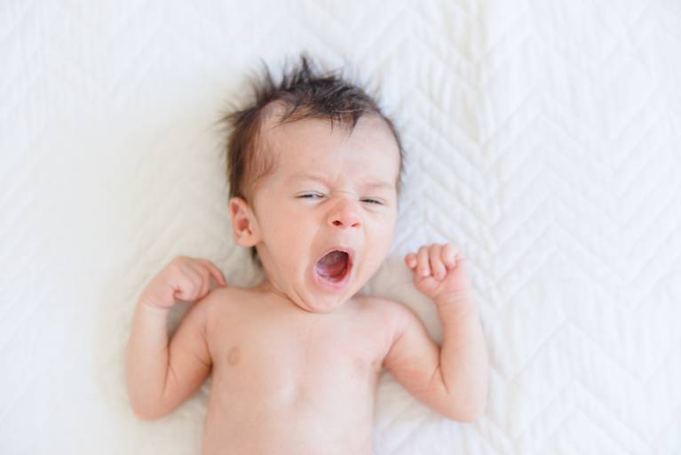 Ensaio recém nascido lifestyle Campinas