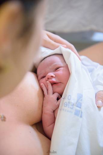 Parto normal humanizado hospitalar Campinas 