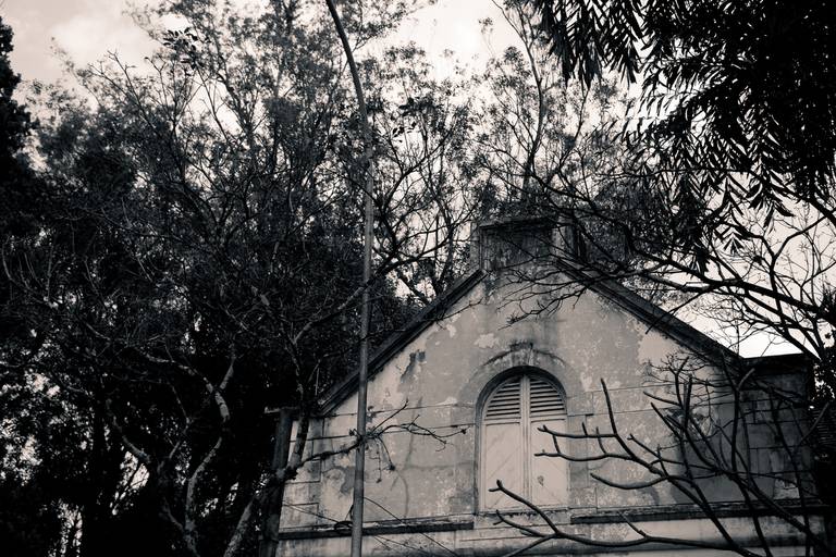 Fotografia do instituto Butantã de são paulo em perto e branco