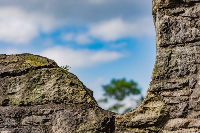 Autoral estrada serra do mar