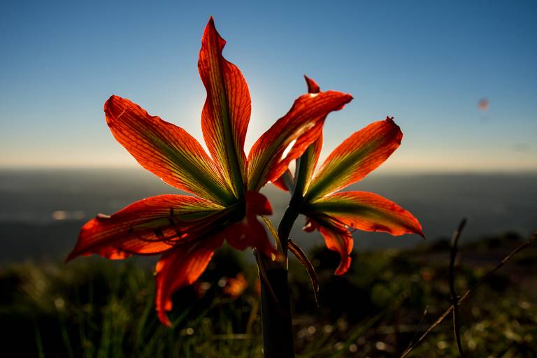 Fotografai aerea de parapente em Atibaia