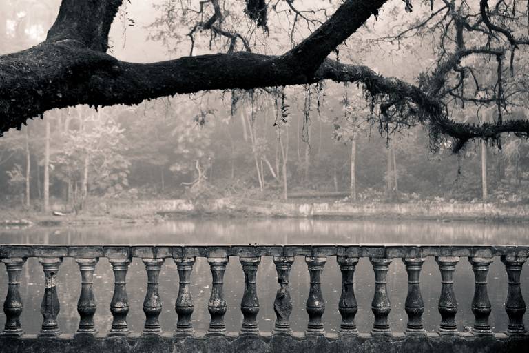 Autoral ambiente abandonado parque jaraguá em São Paulo fotografia perto e branco