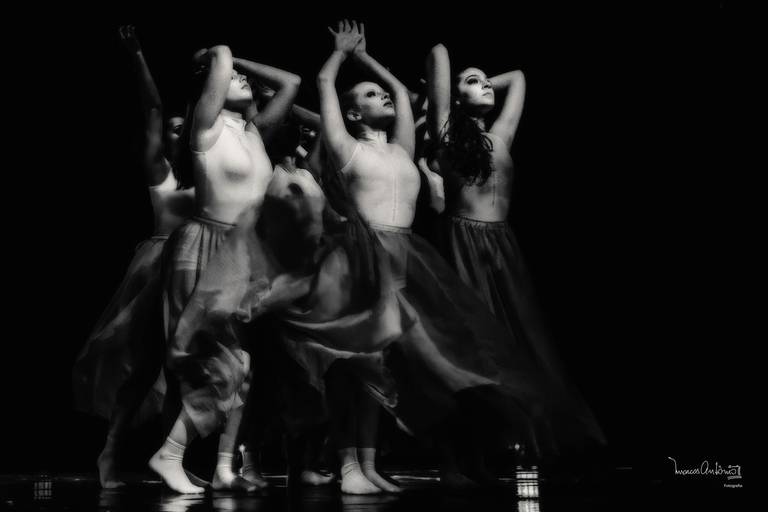 Concórdia em Dança 2019

#concordia #danca #ballet #jazz #bailarina #bailarino #bailarinos #grupodedanca #dancacontemporanea #dancafolclorica 