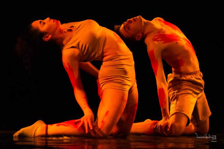 Concórdia em Dança 2019

#concordia #danca #ballet #jazz #bailarina #bailarino #bailarinos #grupodedanca #dancacontemporanea #dancafolclorica 