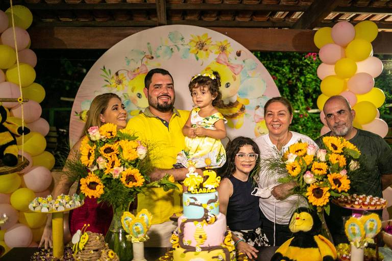 aniversario 2 aninhos festa da abelhinha aracuai em casa