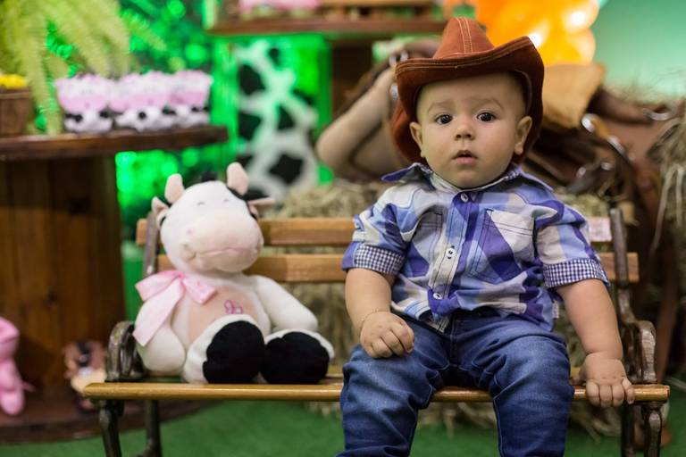 aniversario 1 aninho festa da fazendinha aracuai espaco divertindo