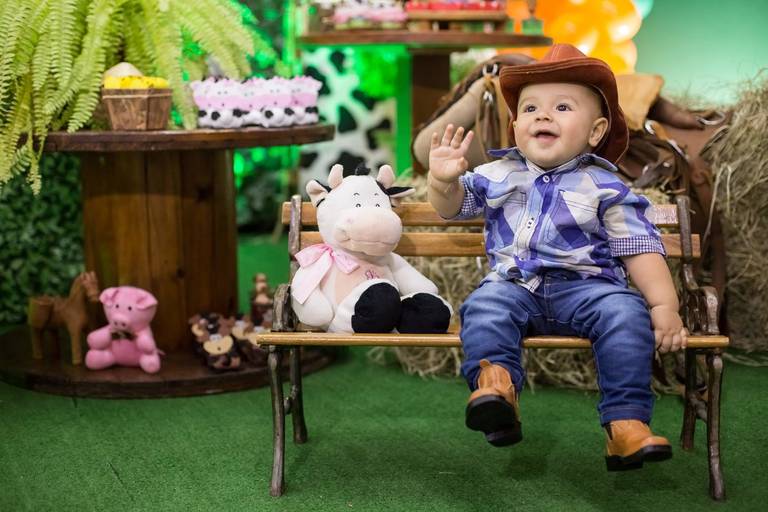 aniversario 1 aninho festa da fazendinha aracuai espaco divertindo