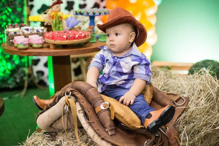 aniversario 1 aninho festa da fazendinha aracuai espaco divertindo