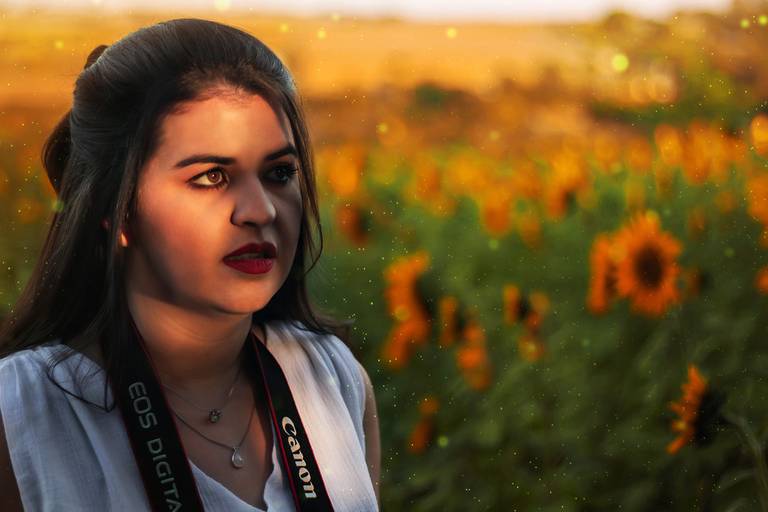 Fotógrafo de ensaios femininos em Sumaré na plantação de girassol