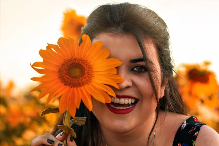 Fotos com girassol em Sumaré