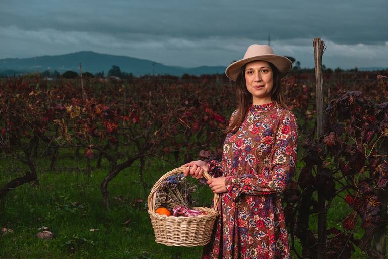 Vinhas Bairada - Casta Maria Gomes