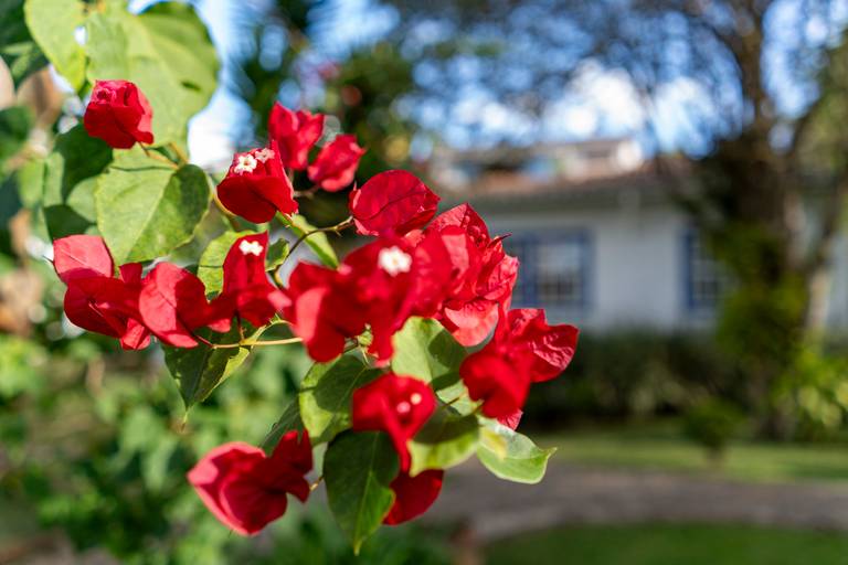 fotos_airbnb_Tiradentes