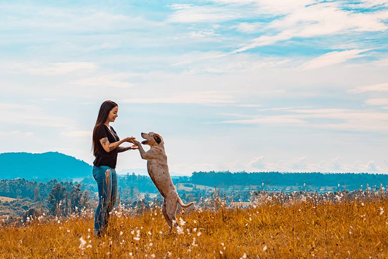 Foto com pet.