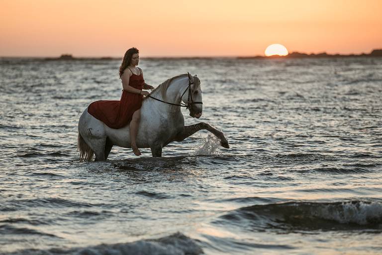 sunset horse water/carloshernaniphotography/luistanoworld 
