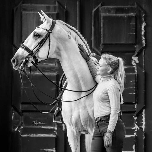 epa_lusitano_cavalo_horses_ps/carloshernaniphotography/luistanoworld l