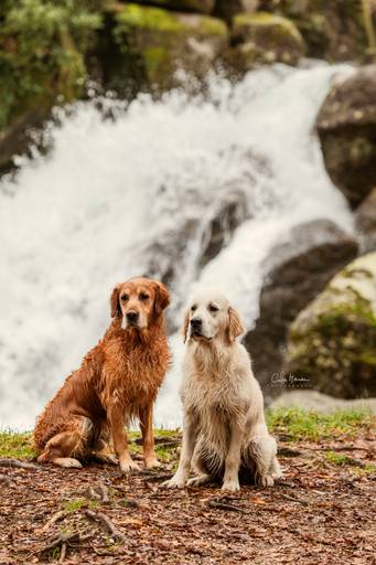 family_fafe_barragem_queimadela_fafe/carloshernaniphotography/luistanoworld 