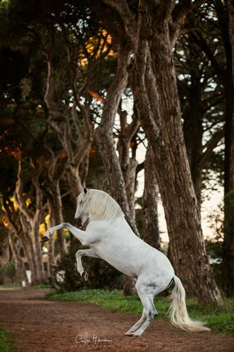 epa_luistano_free/carloshernaniphotography/luistanoworld 