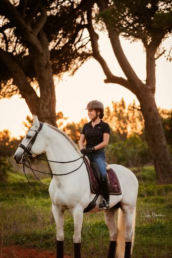 horse_psofsweden_ginniepalm/carloshernaniphotography/luistanoworld 
