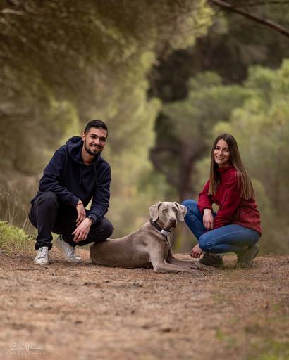 Loosleash training dog/ carloshernaniphotography