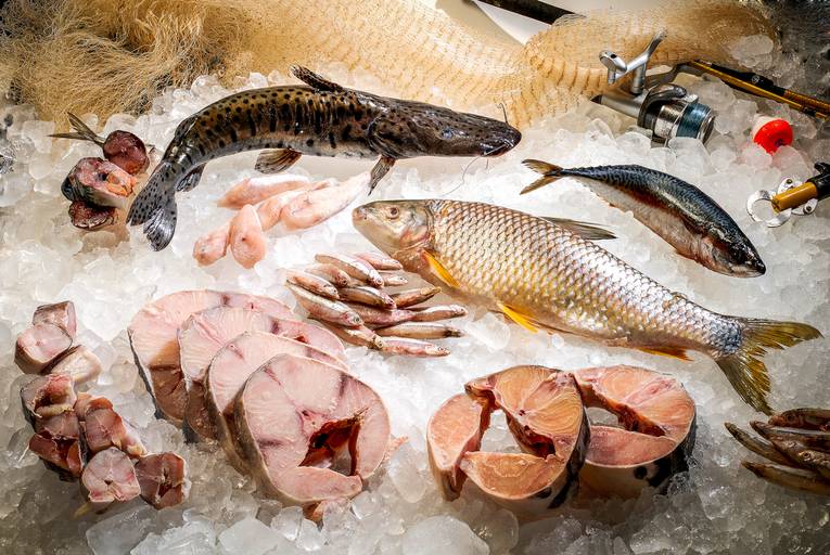 imagem de culinária - gastronomia