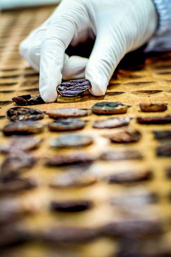 INDUSTRIA - CORPORATIVO