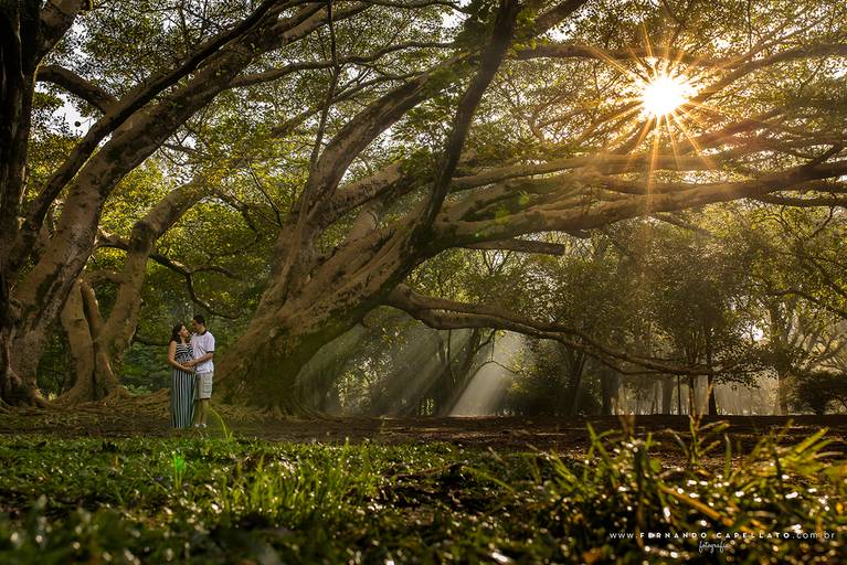 Ensaio de gestante externo Parque do Ibirapuera