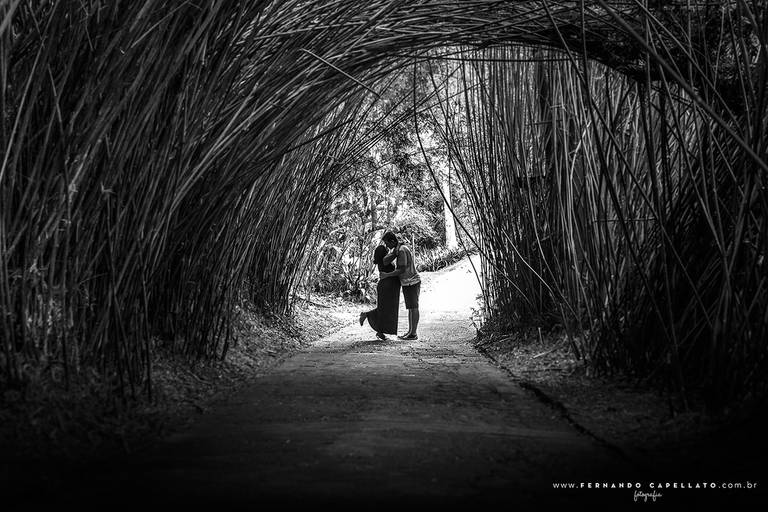 Ensaio de gestante - Jardim Botânico de São Paulo