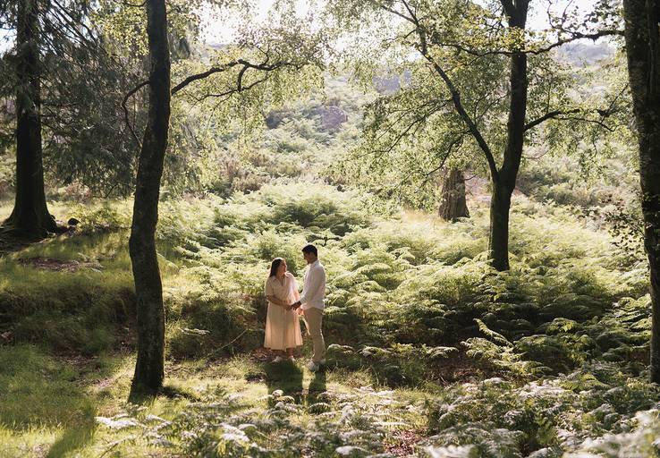 Sessão solteiros no pinhal