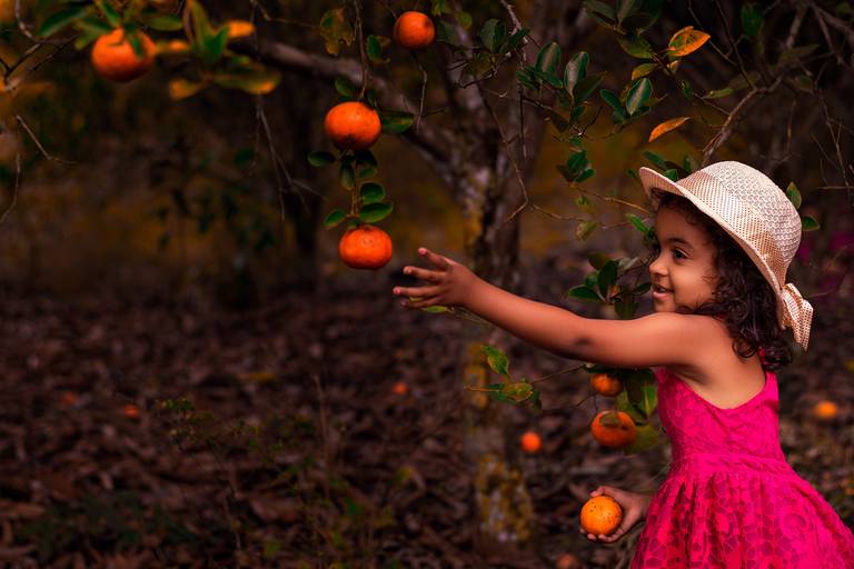 Ensaio infantil Araruama
