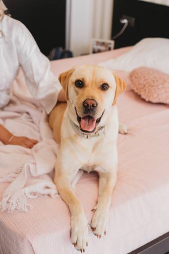 fotografia de casamento, sessão fotografica casamento, melhores fotografos de casamento, melhores fotografos de casamento de portugal, sessao noiva