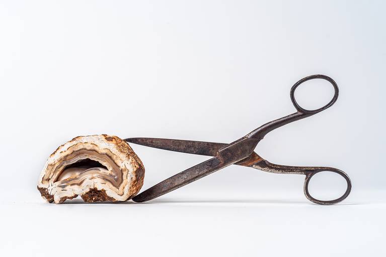 Anelice Lober - artista