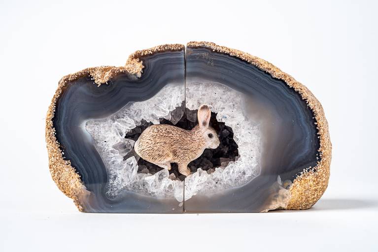 Anelice Lober - artista