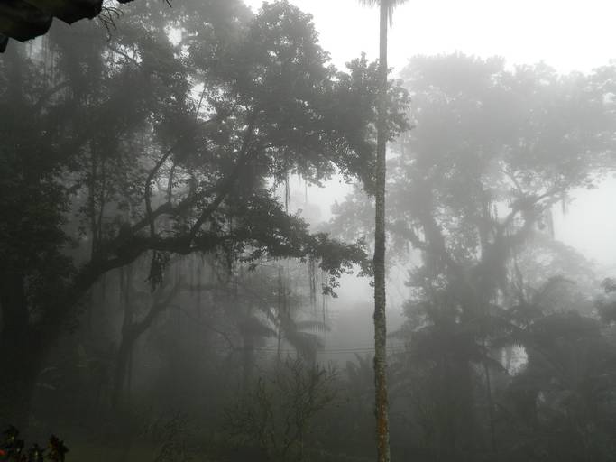 Preto e Branco em Cores