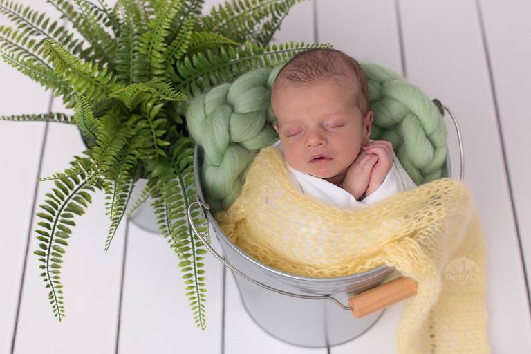 BabyDi, Fotografia de recém nascido, Newborn