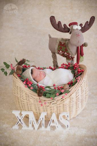 BabyDi, Fotografia de recém nascido, Newborn, rena, natal