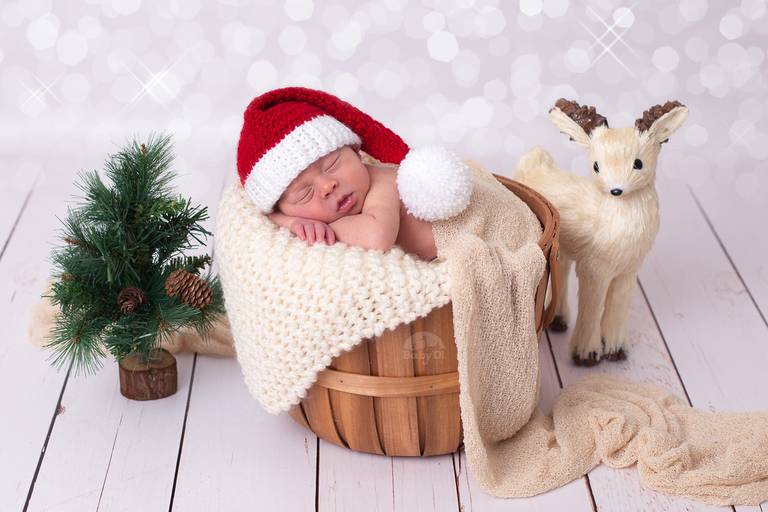 BabyDi, Fotografia de recém nascido, Newborn, Natal