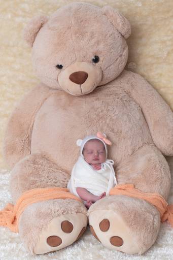 BabyDi, Fotografia de recém nascido, Urso, Newborn, Oeiras